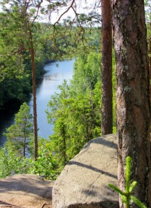 Helvetinjärvi National Park 1