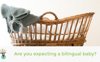 Are you expecting a bilingual baby?